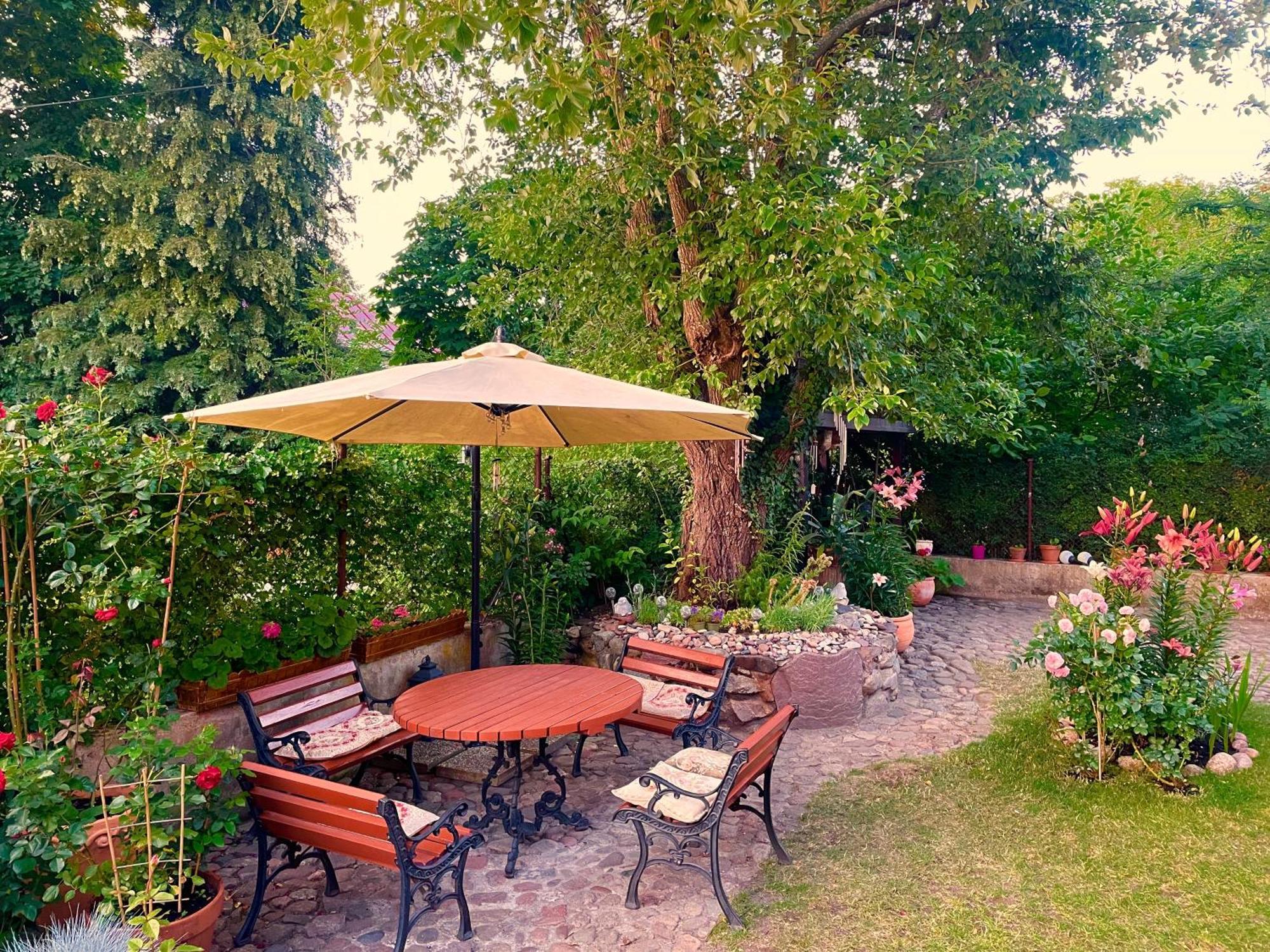 Baltic Home Dunya ミエルノ エクステリア 写真