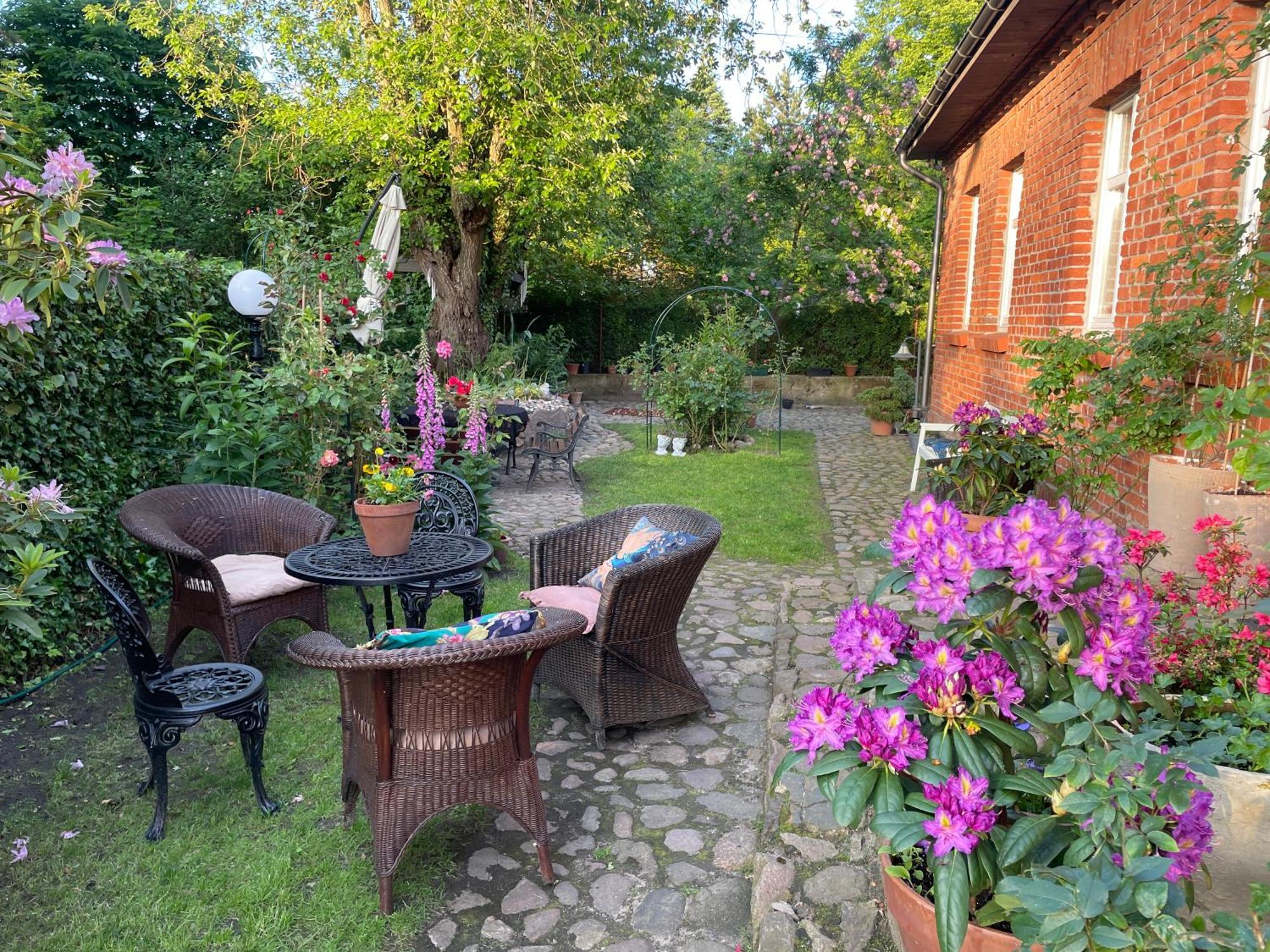 Baltic Home Dunya ミエルノ エクステリア 写真